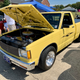 Illustration for article titled Car show today! And the Sunbird has an uninvited guest.